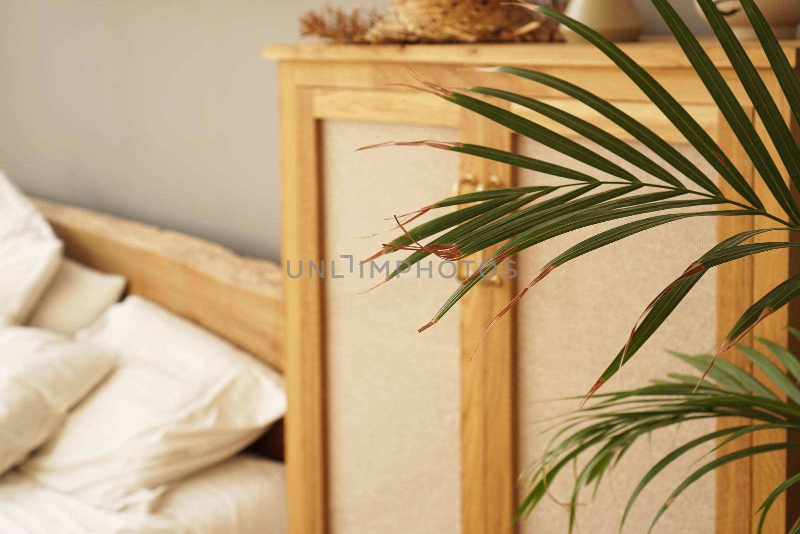 Living space or hotel room in a Scandinavian style. Green plant on blurred background