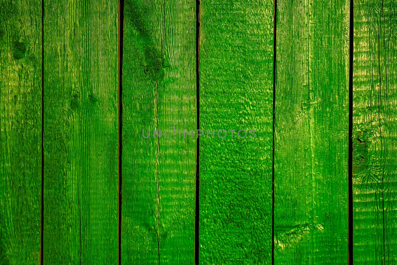 Green painted vertical background boards. Outdoors of day. Front view. by Essffes