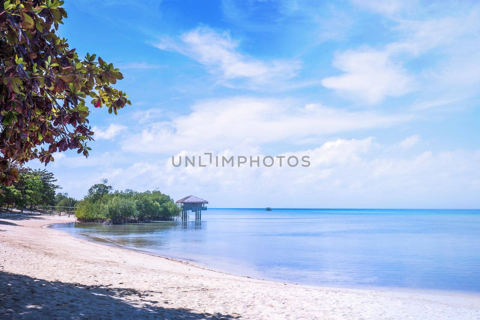 Chairs on the amazing beautiful sandy beach near the ocean with blue sky. Concept of summer leisure calm vacation for a tourism idea. Empty copy space, inspiration of tropical landscape