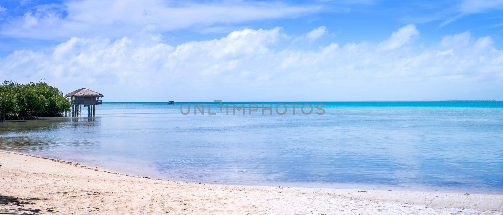 Beautiful amazing gold colored sandy beach with soft waves isolated with sunny blue sky. Concept of tropical calm tourism idea, copy space, close up