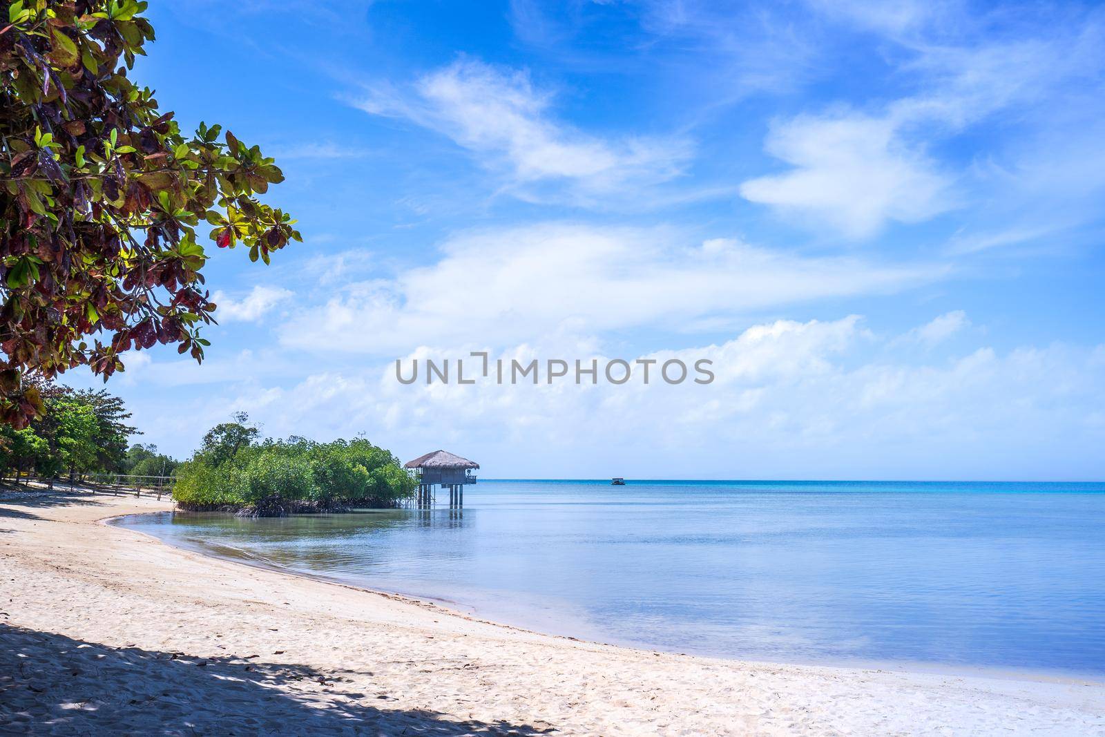 Beautiful amazing gold colored sandy beach with soft waves isolated with sunny blue sky. Concept of tropical calm tourism idea, copy space, close up