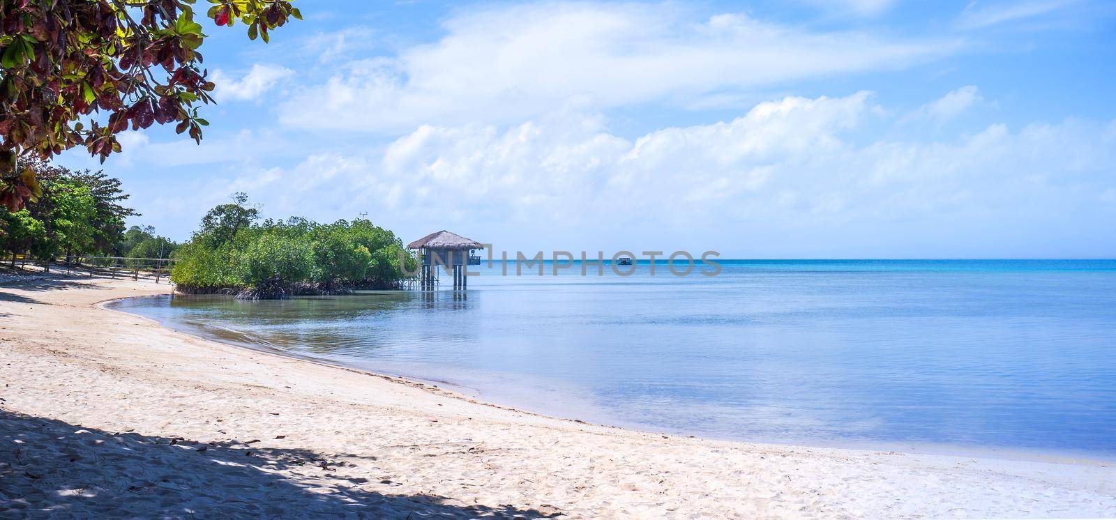 Beautiful amazing gold colored sandy beach with soft waves isolated with sunny blue sky. Concept of tropical calm tourism idea, copy space, close up