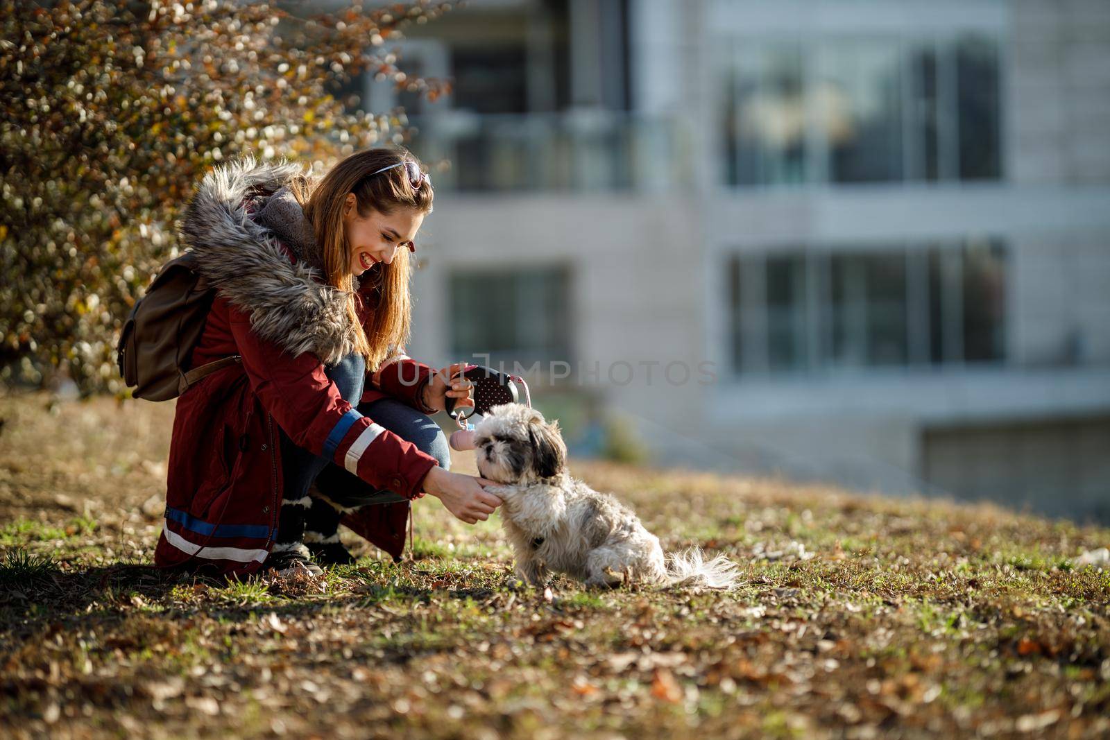 A cheerful woman playing with her cute Shih Tzu puppy at the city park.