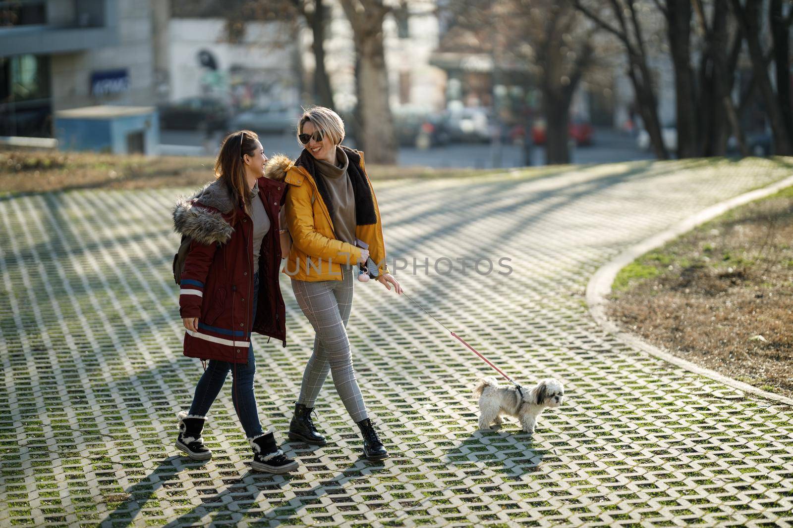 A two young female friends walking with their pet Shih Tzu dog at the city park.