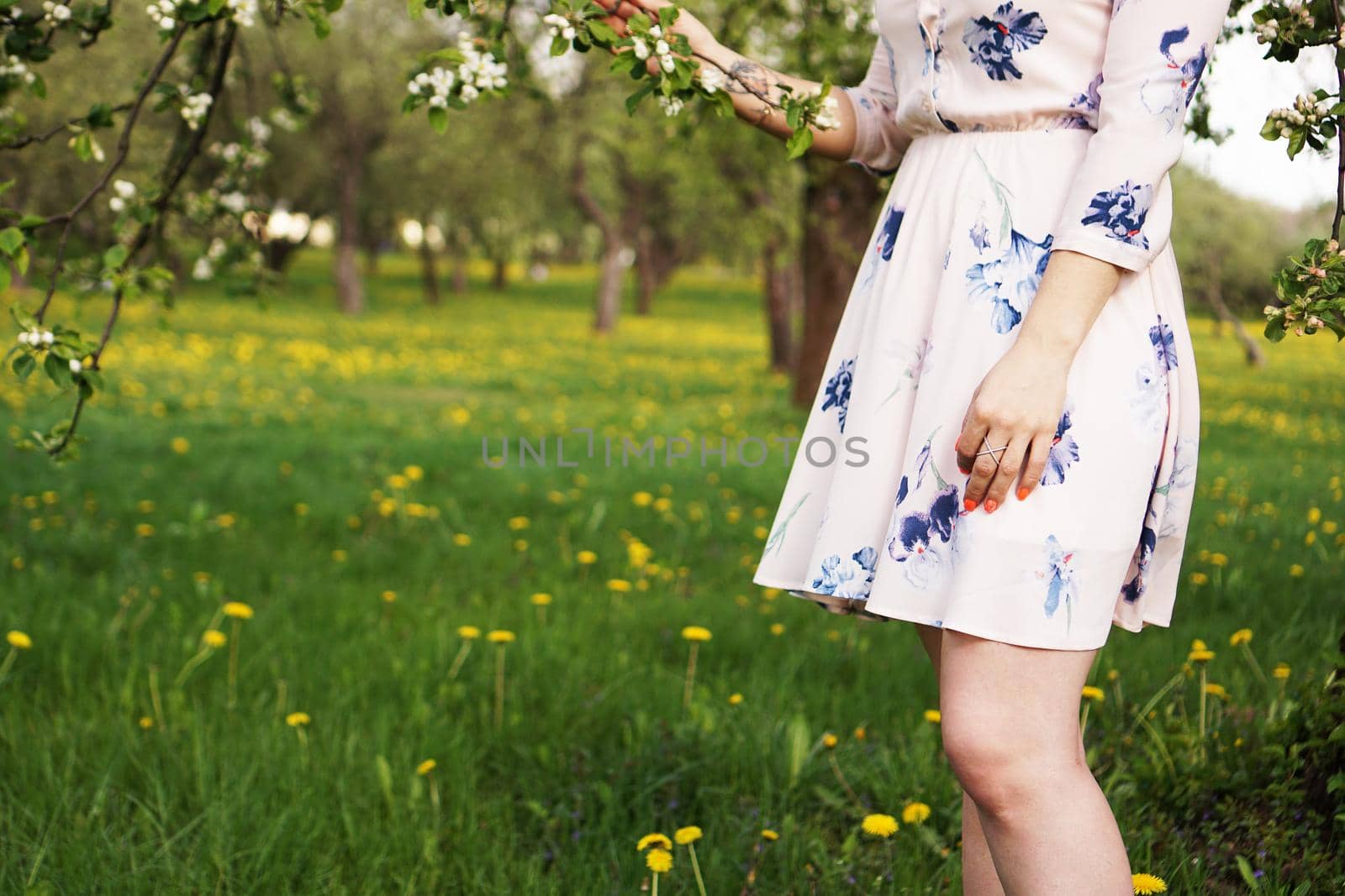 Close-up photo - girl in a sunny summer garden