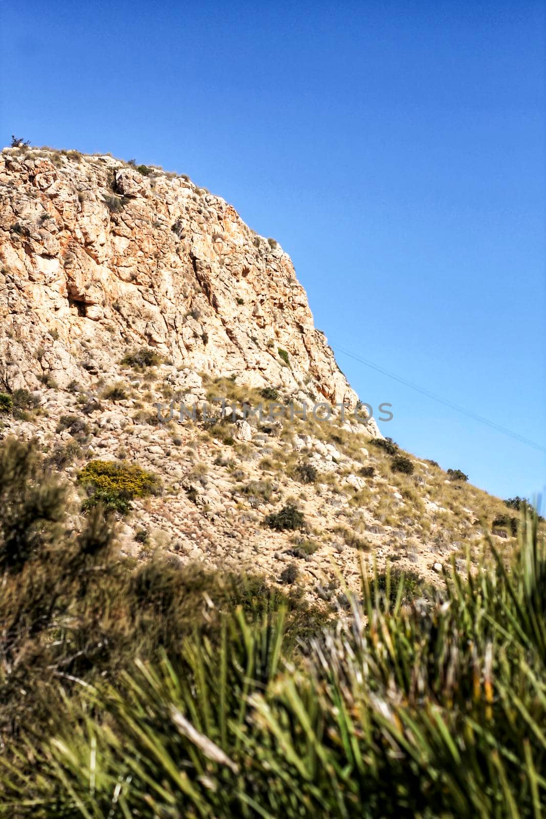 Mediterranean Vegetation and cliffs in Alicante coast, Spain