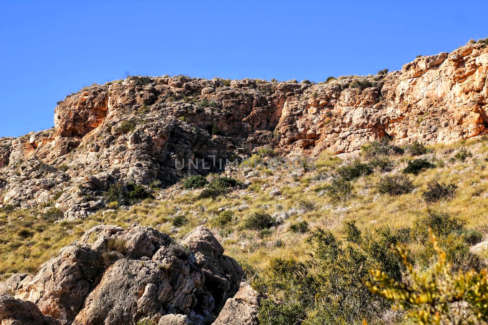 Mediterranean Vegetation and cliffs in Alicante coast, Spain