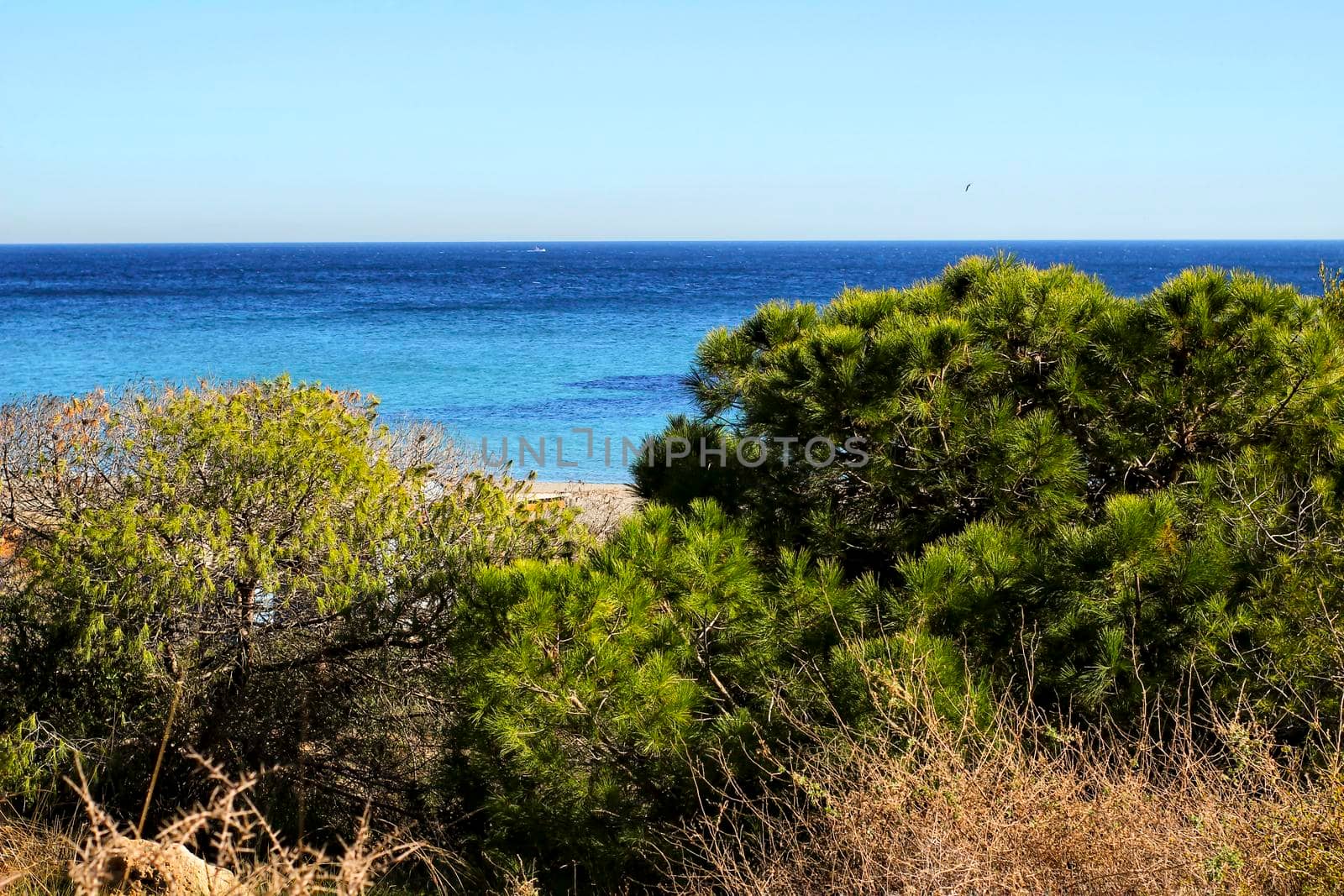 Green Landscape in southern Spain on the beach. Alicante coast.