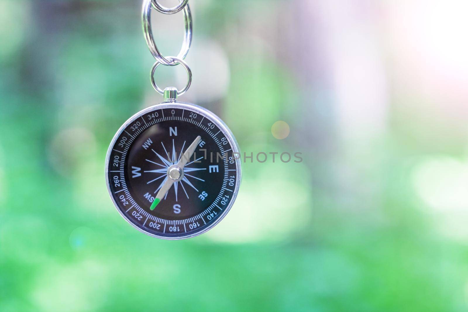 Compass on the background of greenery in the forest, copy space