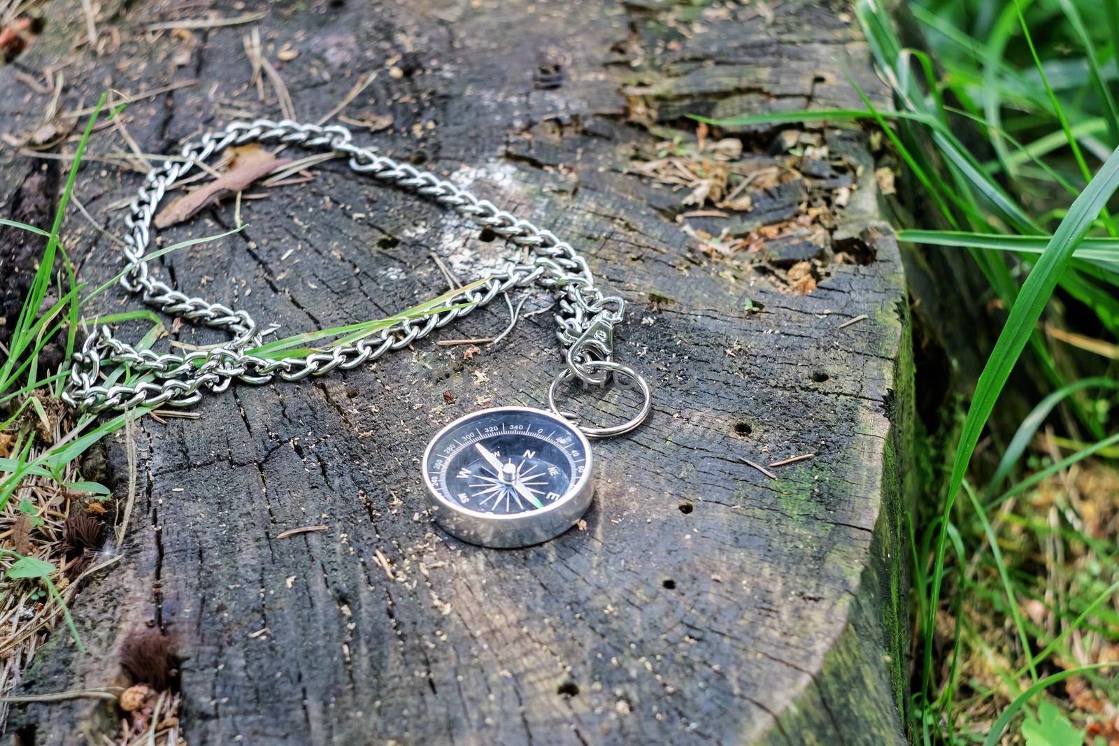 Compass on a stump in the summer forest close up