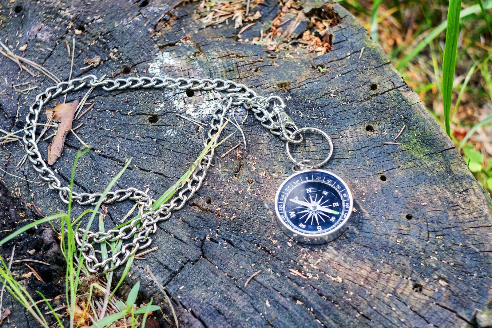 Compass on a stump in the summer forest close up