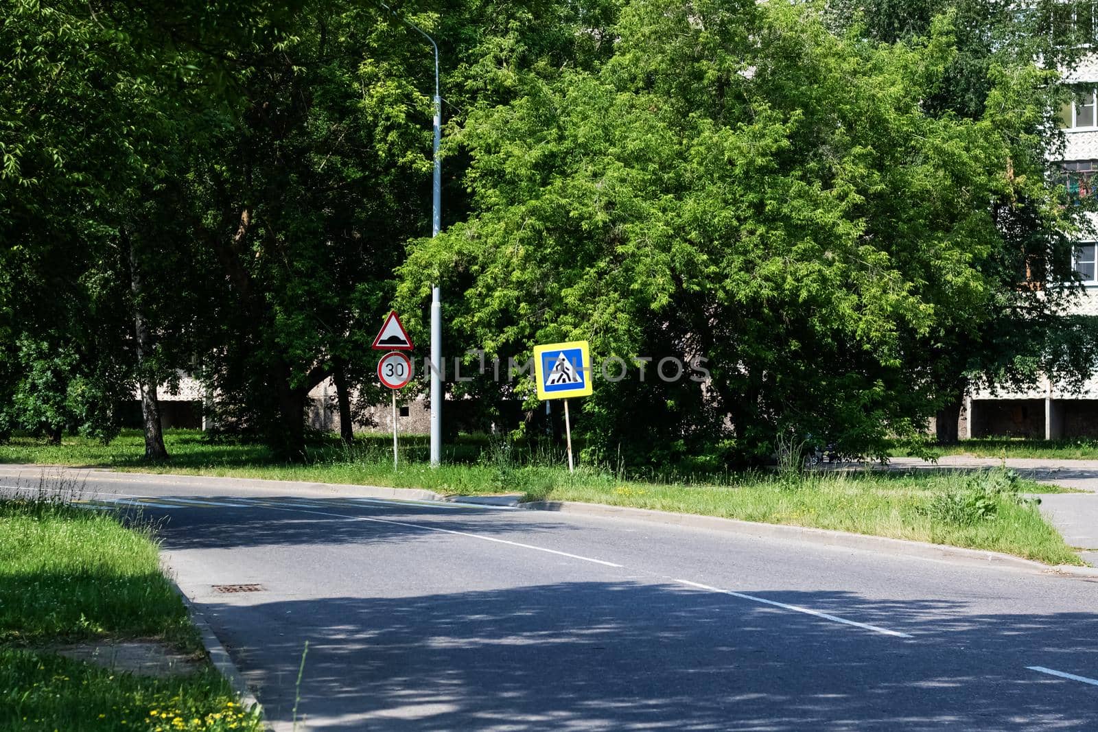 Sign of the pedestrian crossing on the road among the green forest in summer, landscape