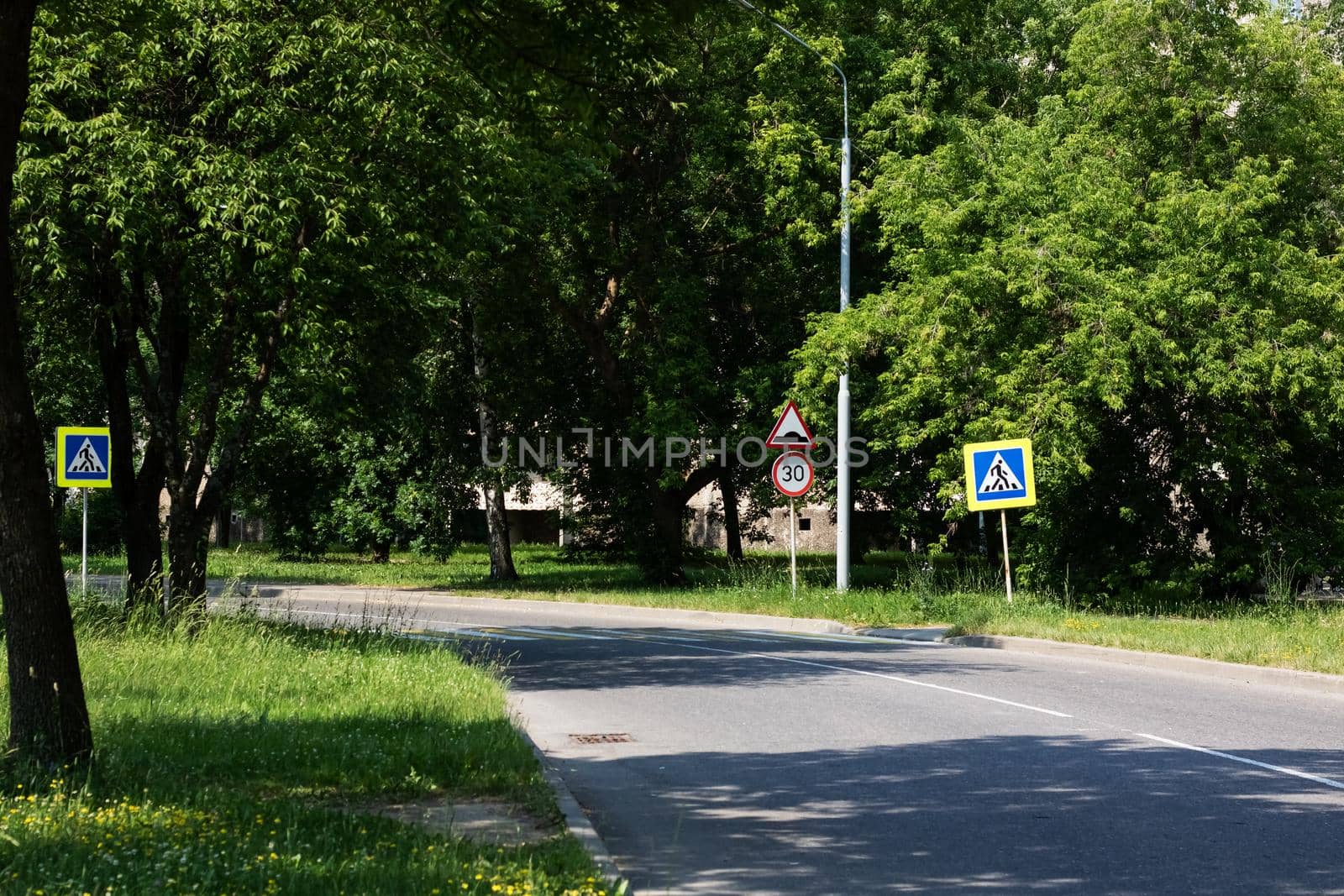 Sign of the pedestrian crossing on the road among the green forest in summer, landscape