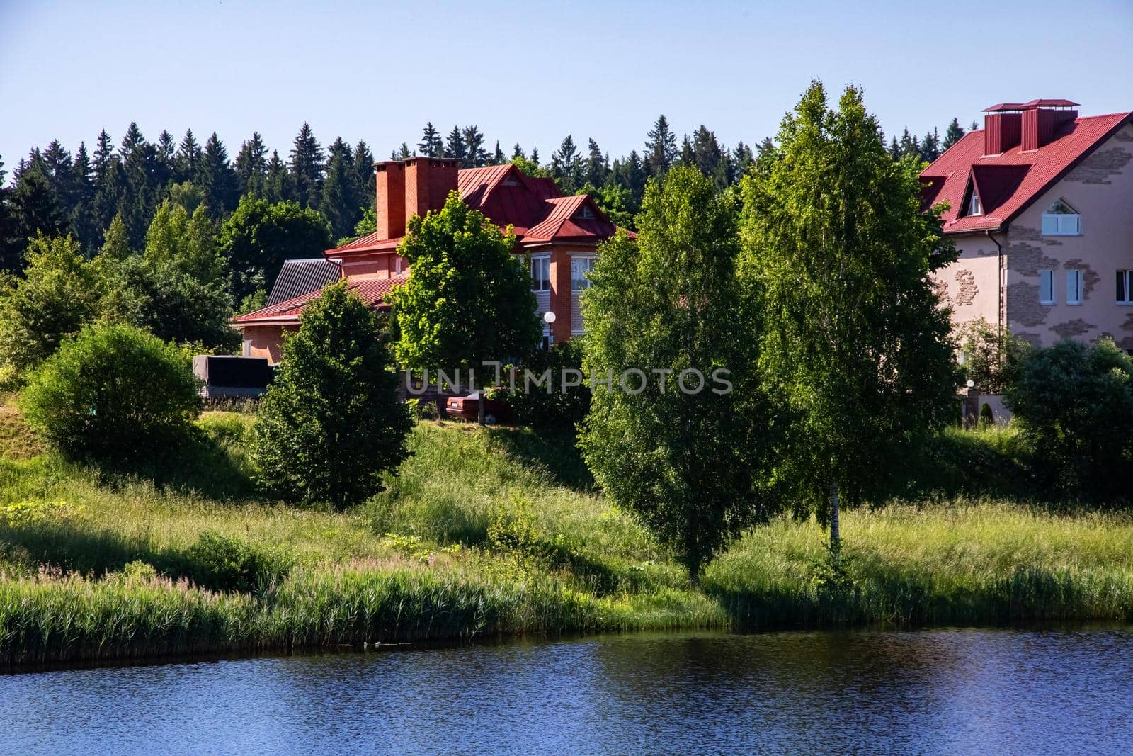 Trees, vegetation and houses on the shore of the pond in the village