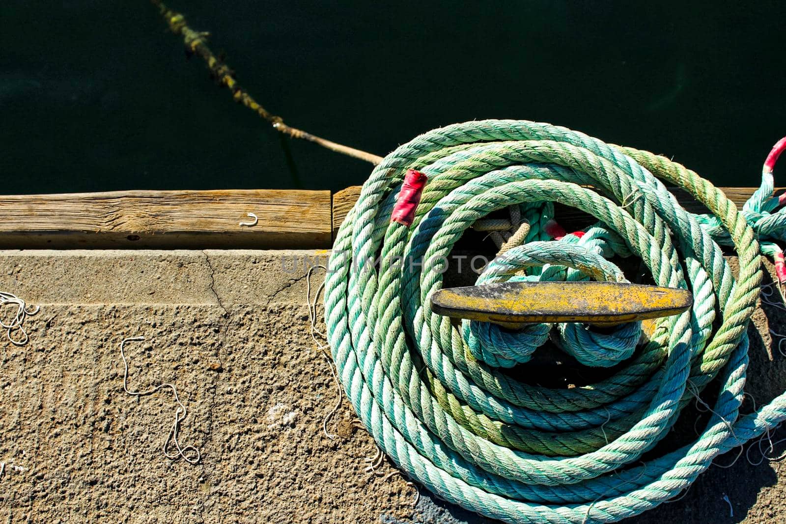 Blue Coiled rope in the dock in the morning