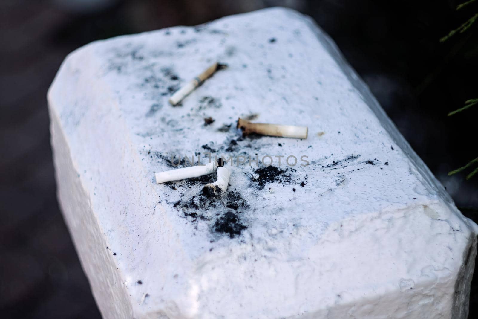 Cigarette butts lie on the concrete surface close up, environmental pollution