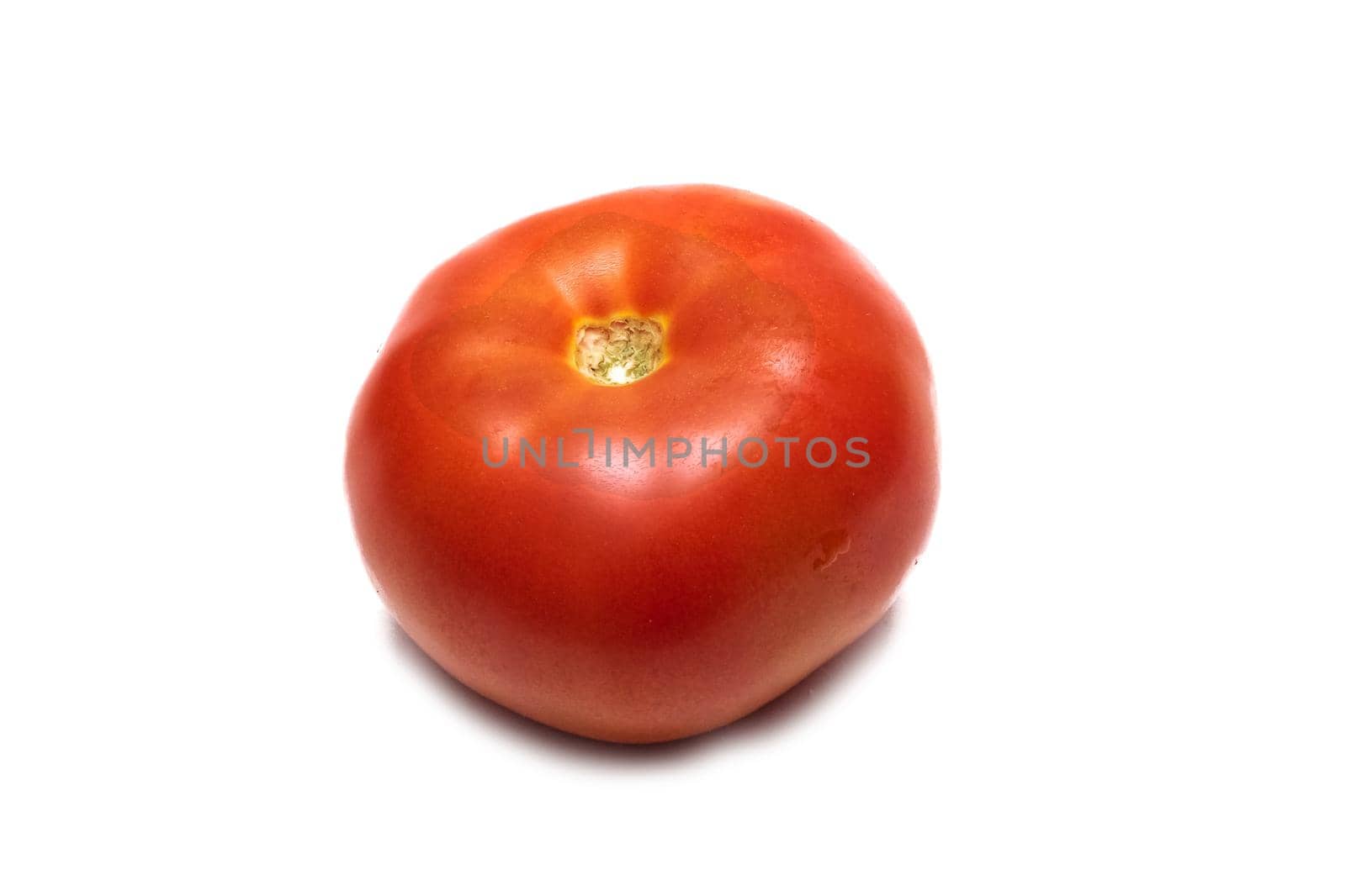 Red tomato with water drops close up, isolated on white background