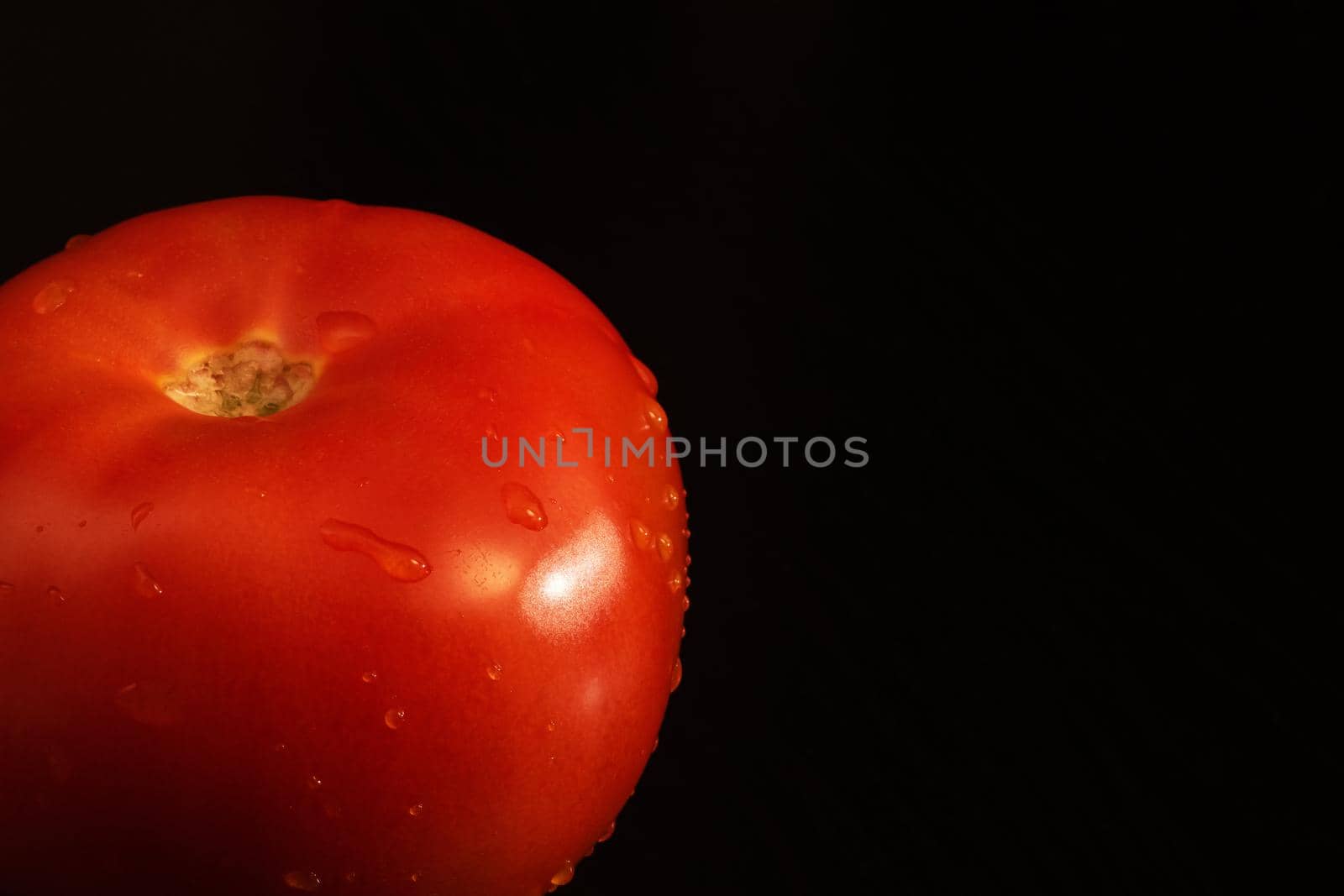 Red tomato with water drops on a dark background, copy space