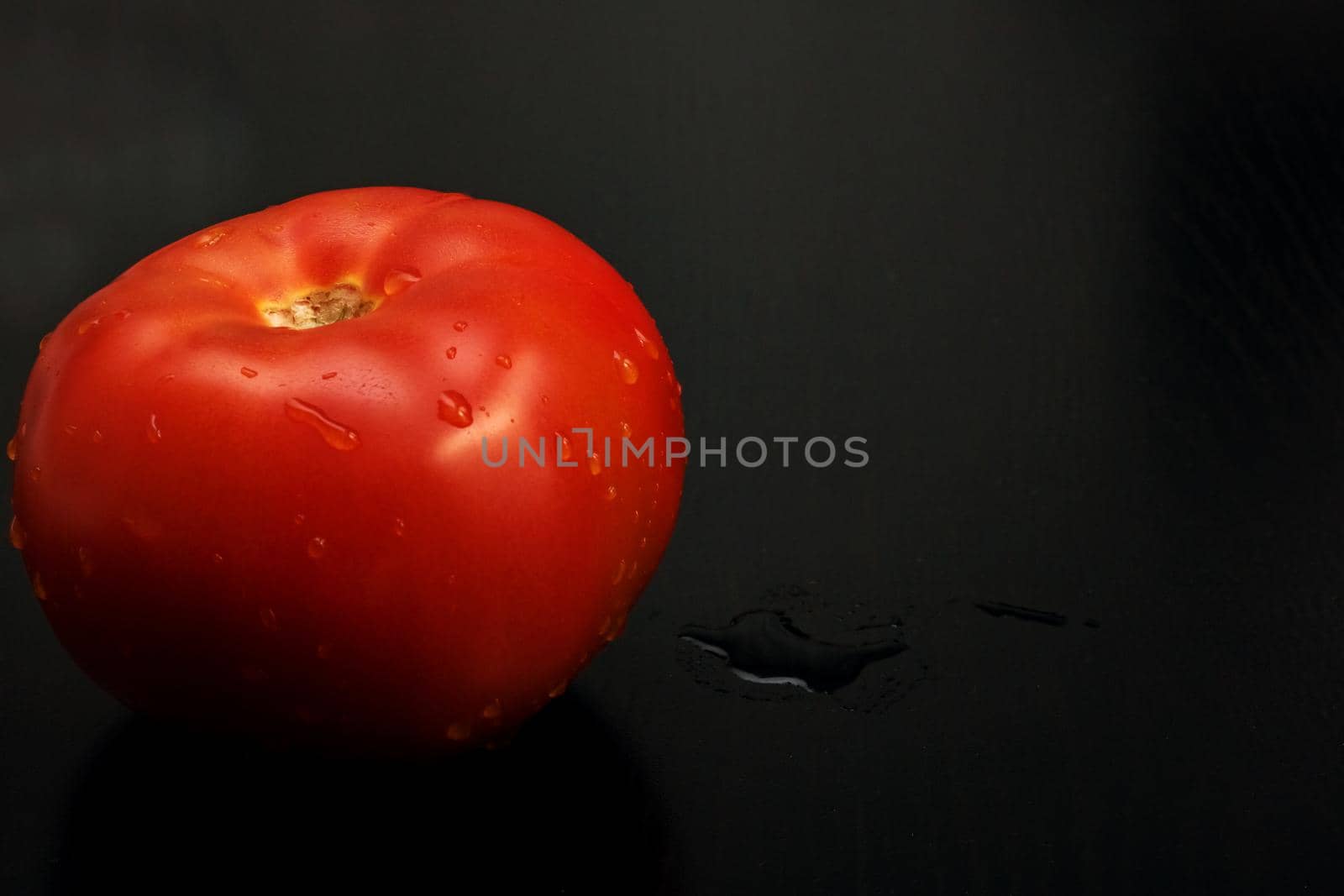 Red tomato with water drops on a dark background, copy space