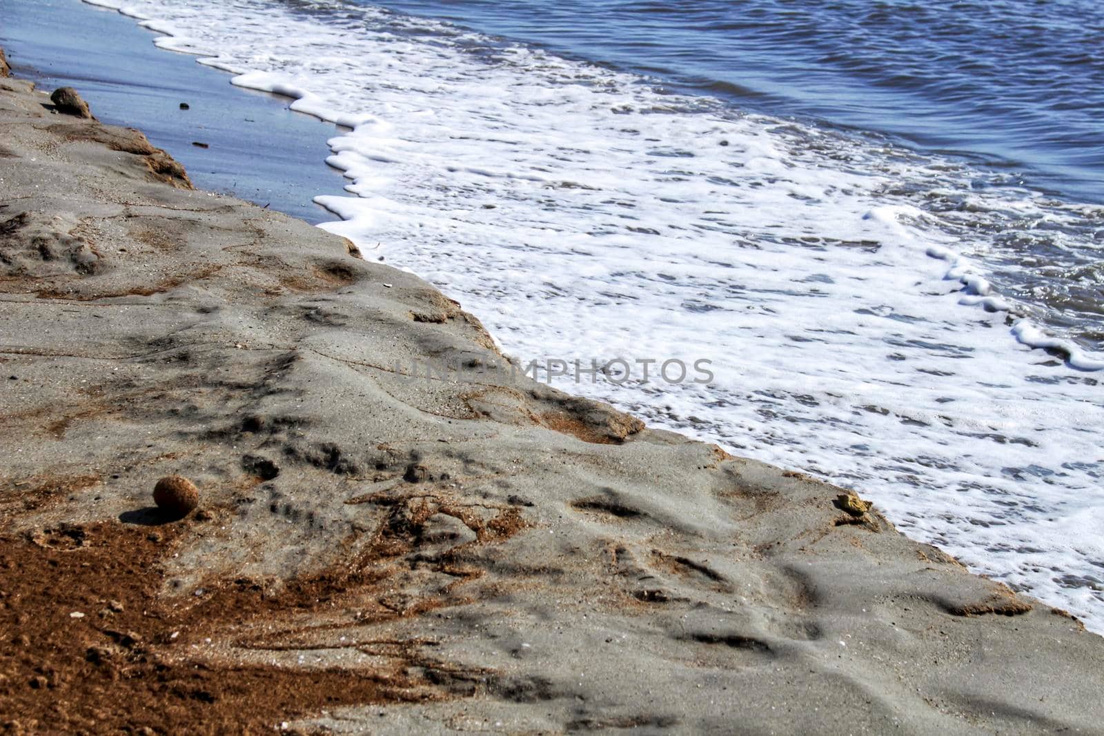 Oceanic Posidonia remains on the shore after the storm in Santa Pola, Spain