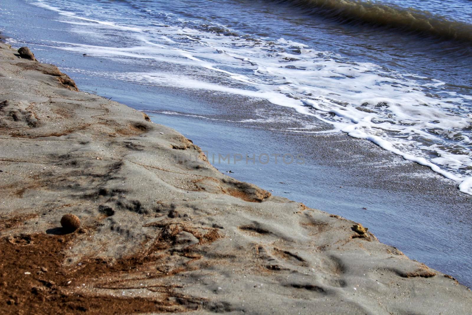 Oceanic Posidonia remains on the shore after the storm in Santa Pola, Spain