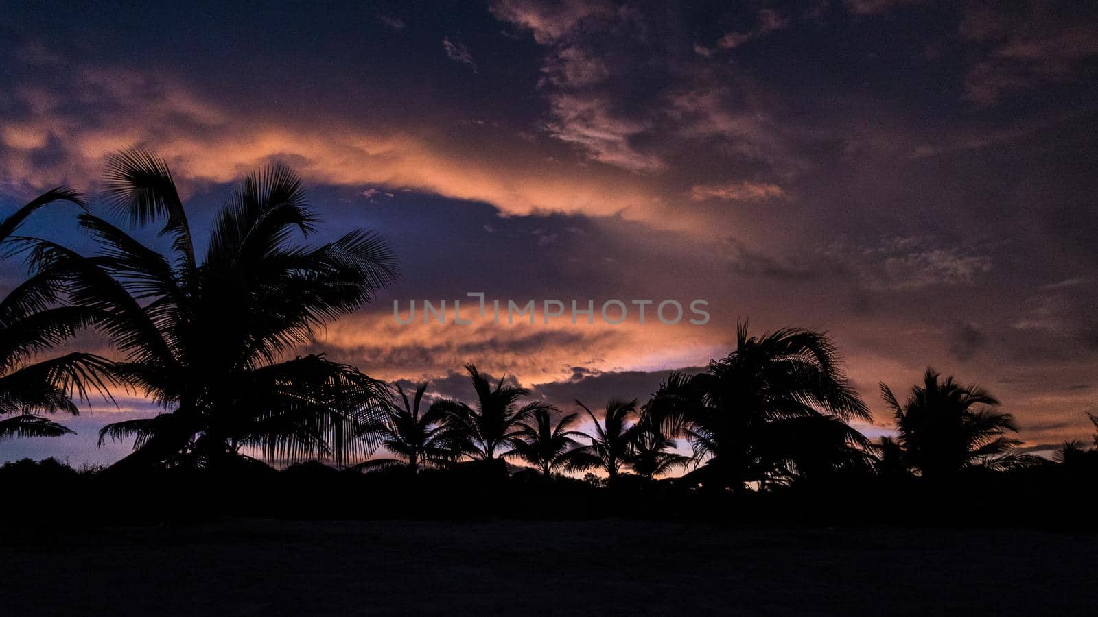 Sunrise at Koh Rong form Long Beach, Palmtree silhouettes, orange and blue colors