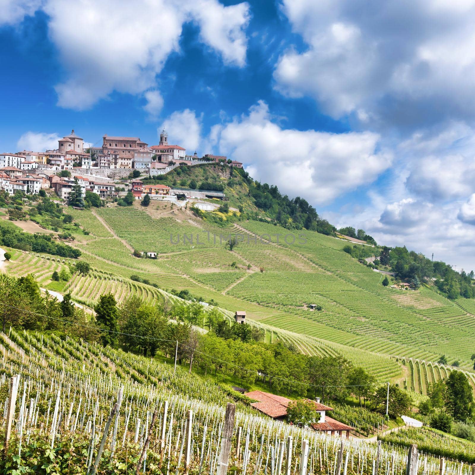 La Morra. Traditional village close to Barolo and Alba, Piedmont Region, Italy. by Perseomedusa