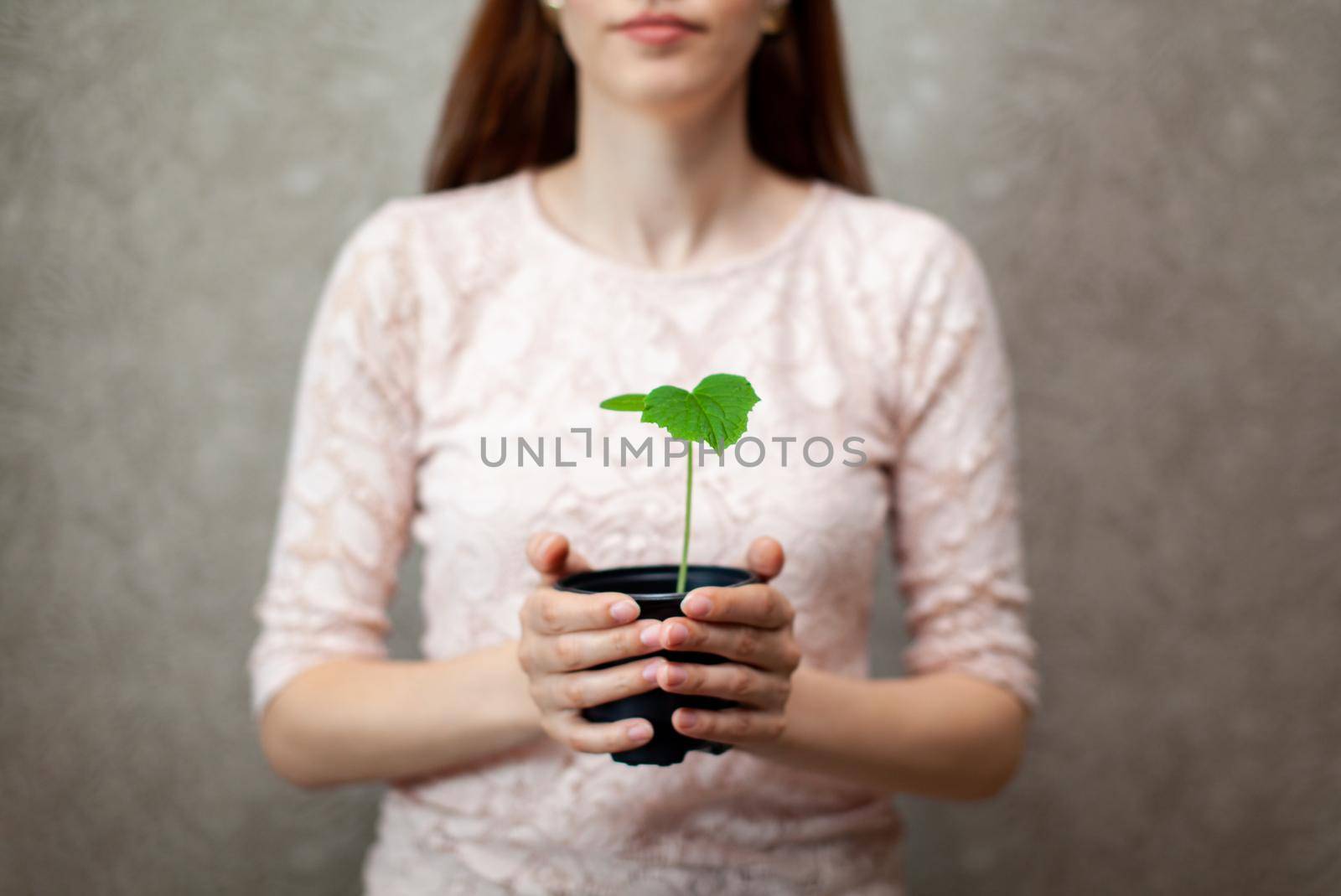 The girl is holding a black pot with a green plant on a dark background. Seedlings of cucumbers in a pot, ready for planting in the ground. Environmental protection. Respect for nature