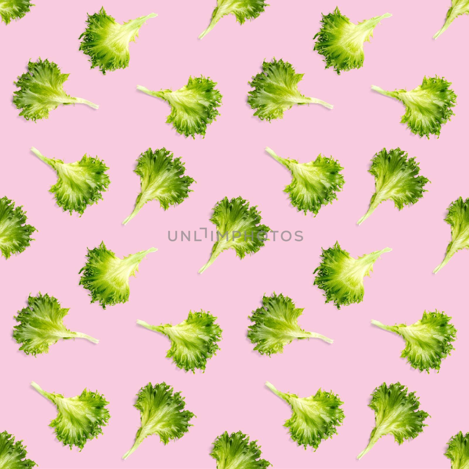seamless pattern from lettuce green leaves salad. frillice salad isolated on pink. iceberg salad leaf close up, modern background, flat lay. lettuce green leaf pattern