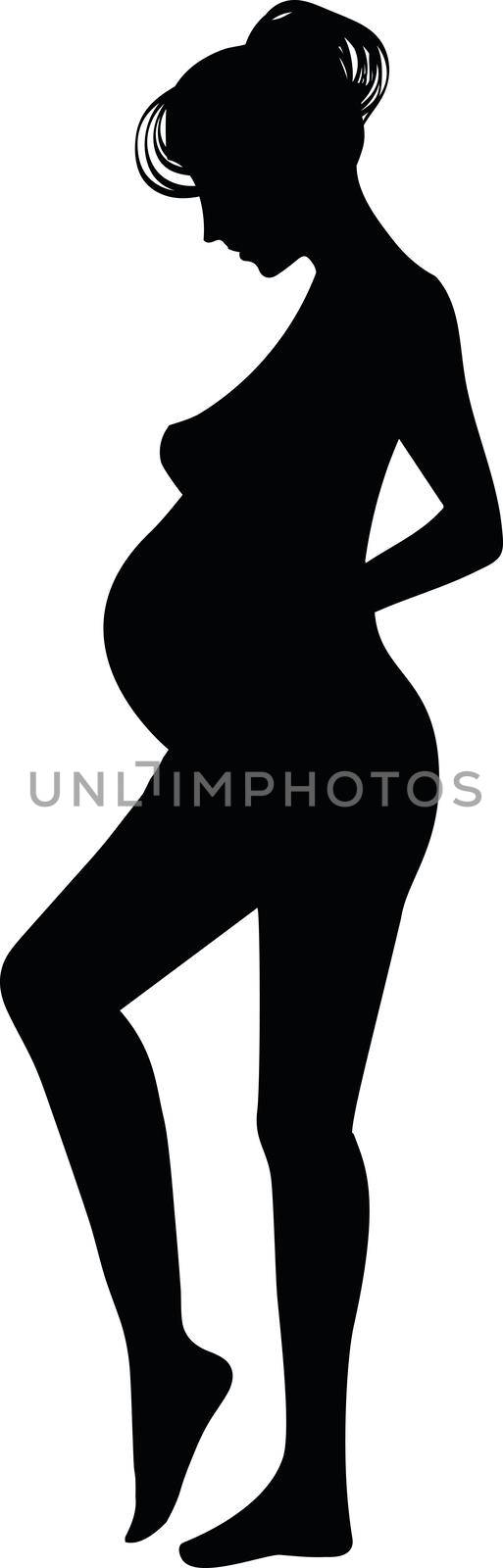 Pregnant Girl Showing Her Belly Vector Illustration