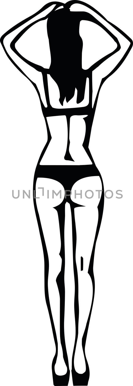 Woman silhouette in lingerie. by aroas