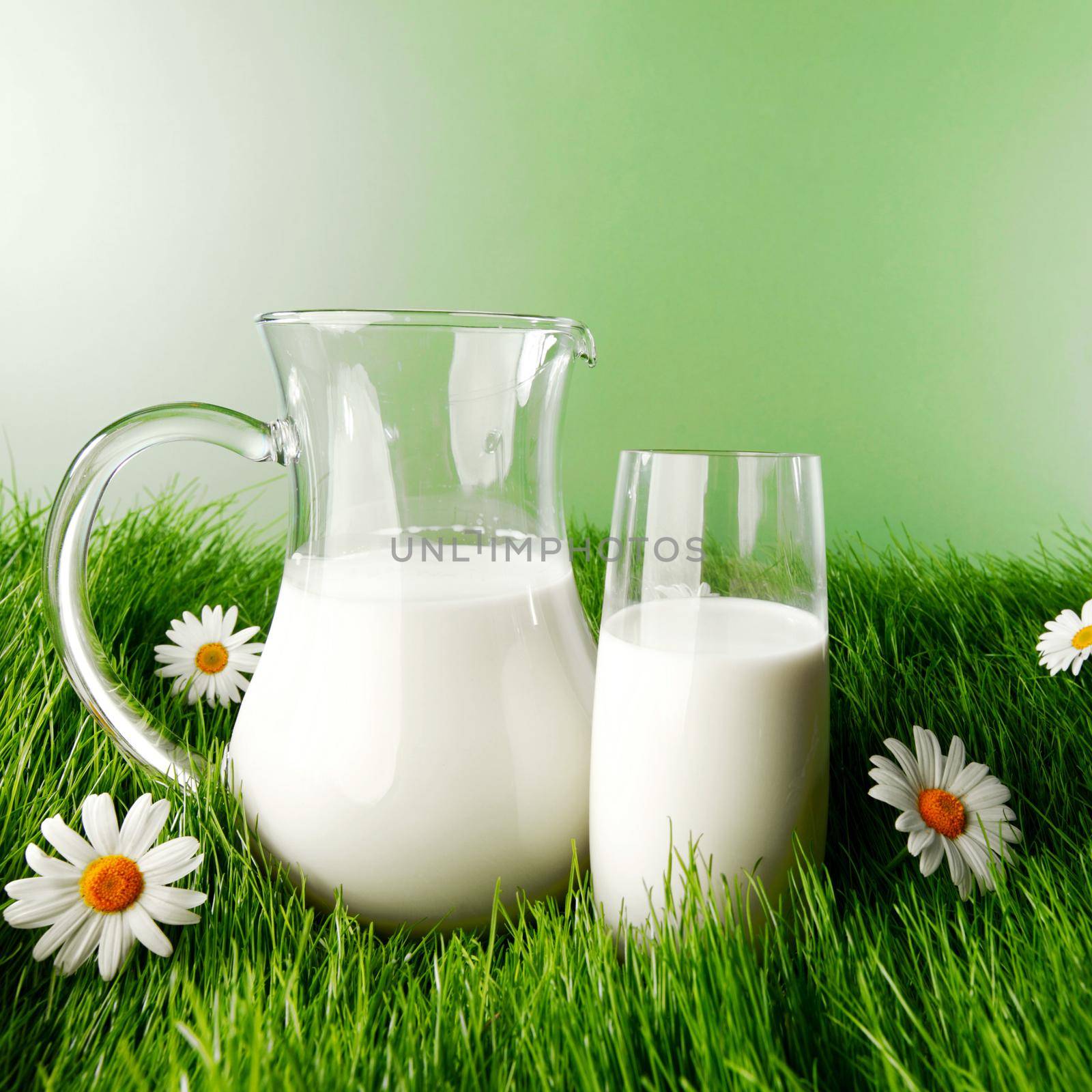 Glass of milk and jar on fresh grass meadow with chamomiles