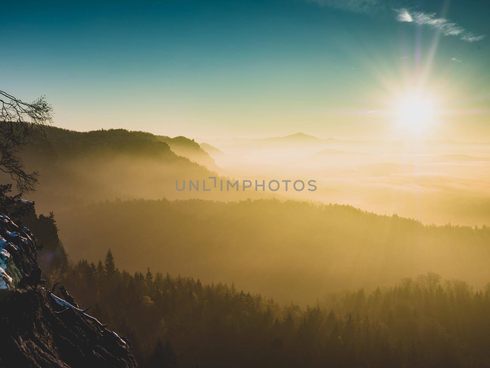 Sunrise in the misty mountains. Pine tree bonsai.  Fog in the forest.