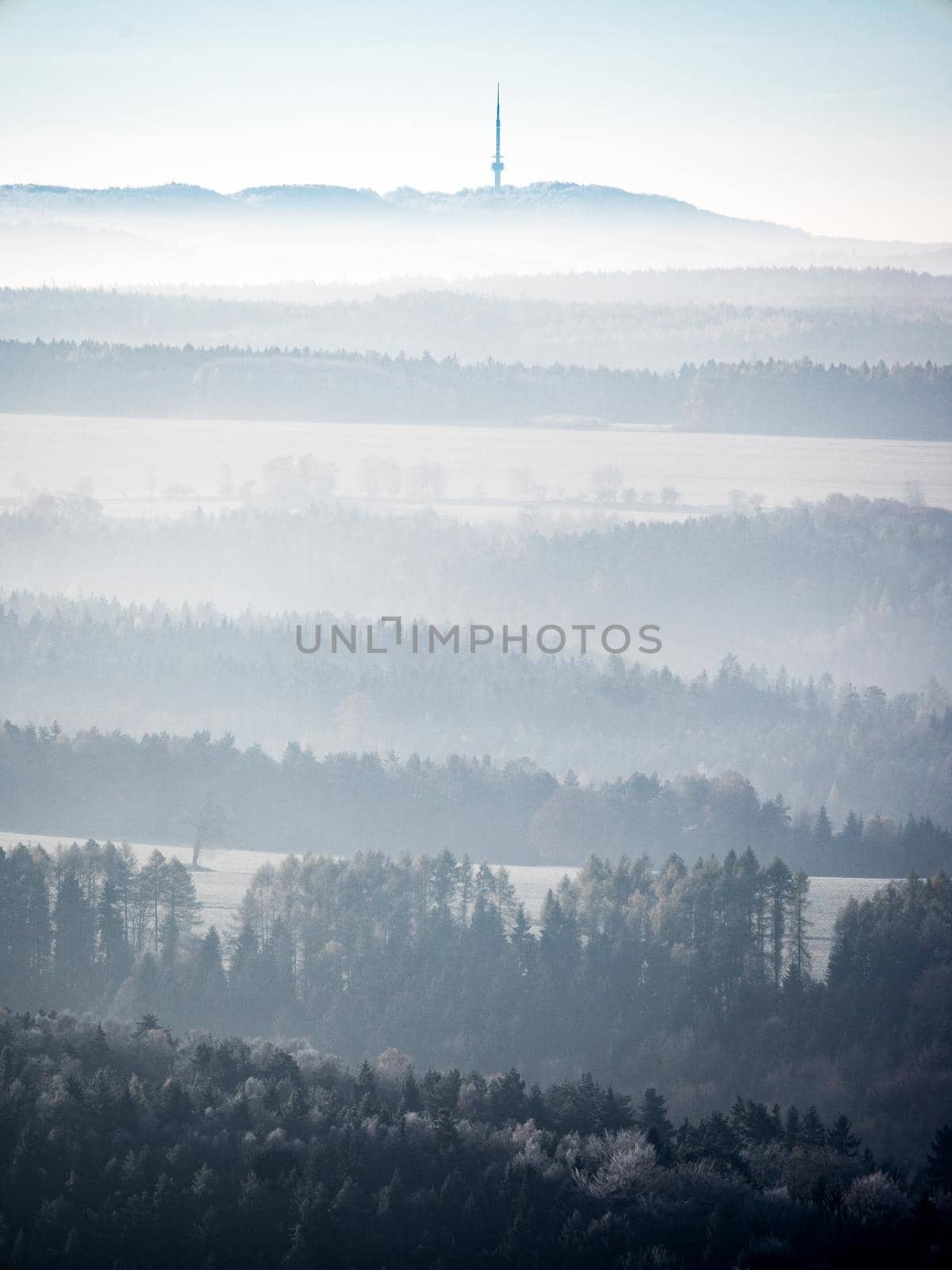 Autumn tree tops in the fog. Autumn sad with colorful trees. by rdonar2