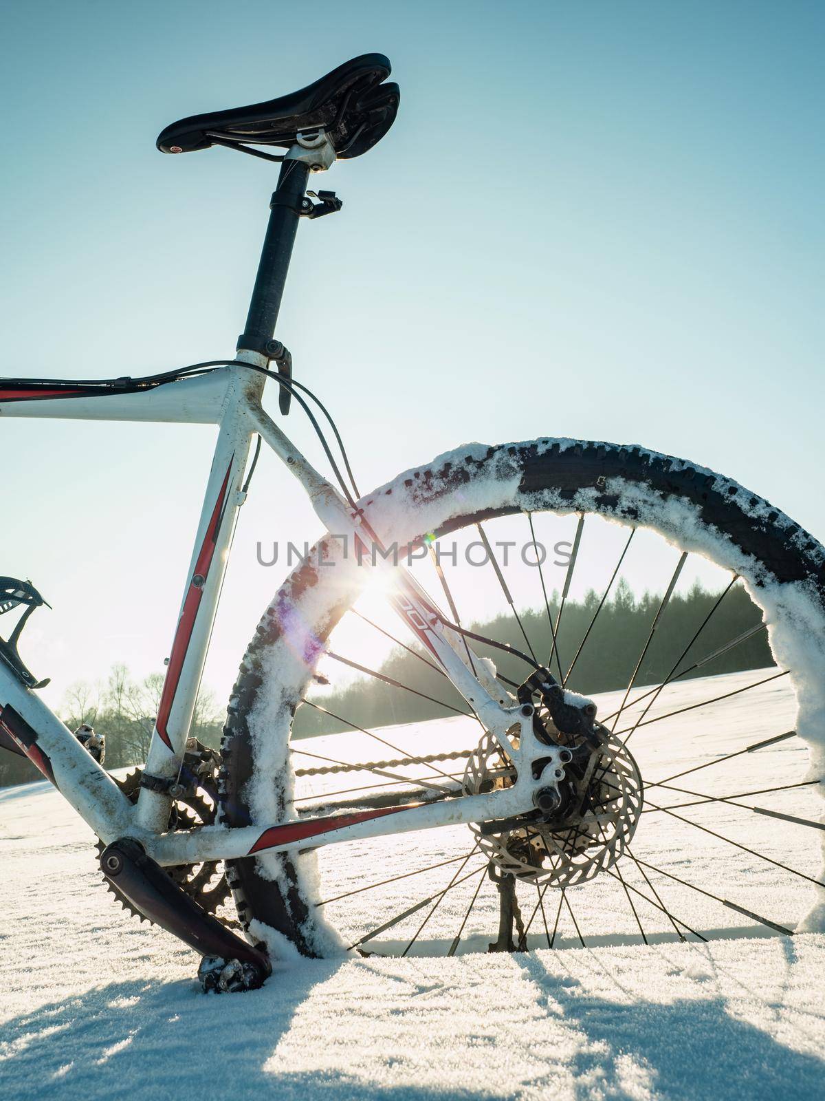 Rear  wheel of fat bike on a winter trail against sun and blue sky by rdonar2