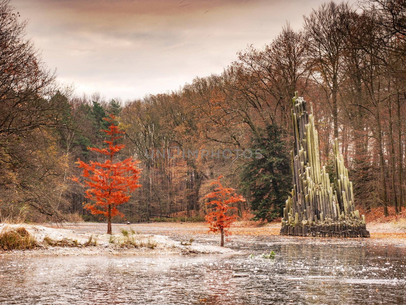 Basalt Orgel, the basalt column Restoration and red deciduous tree at the magnificent Rakotzbrucke tourist bridge known as Devils Bridge in Kromlau, Germany