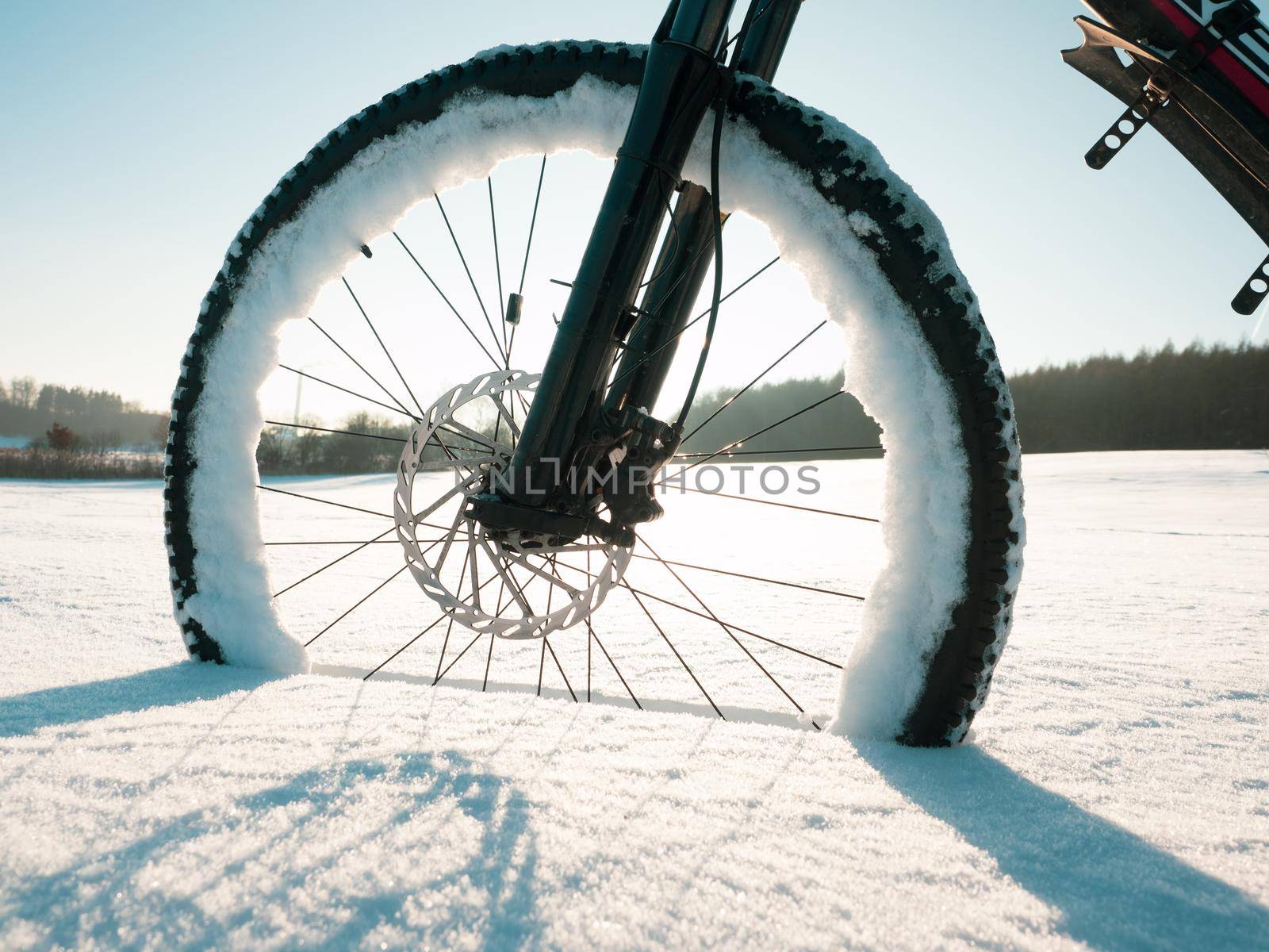Close up of bicycle wheel on white snow. Cycling in extreme winter conditions concept and winter tyres. 