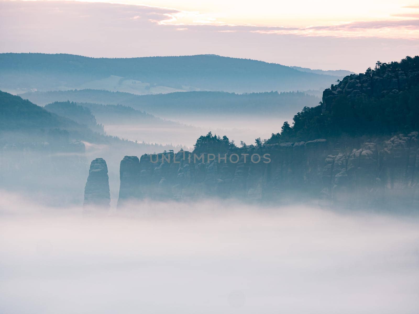 Exposed rocks and forest hills within early morning hours with fog. Sachsen natural park.  Cold blue misty world in deep valley of German mountain park