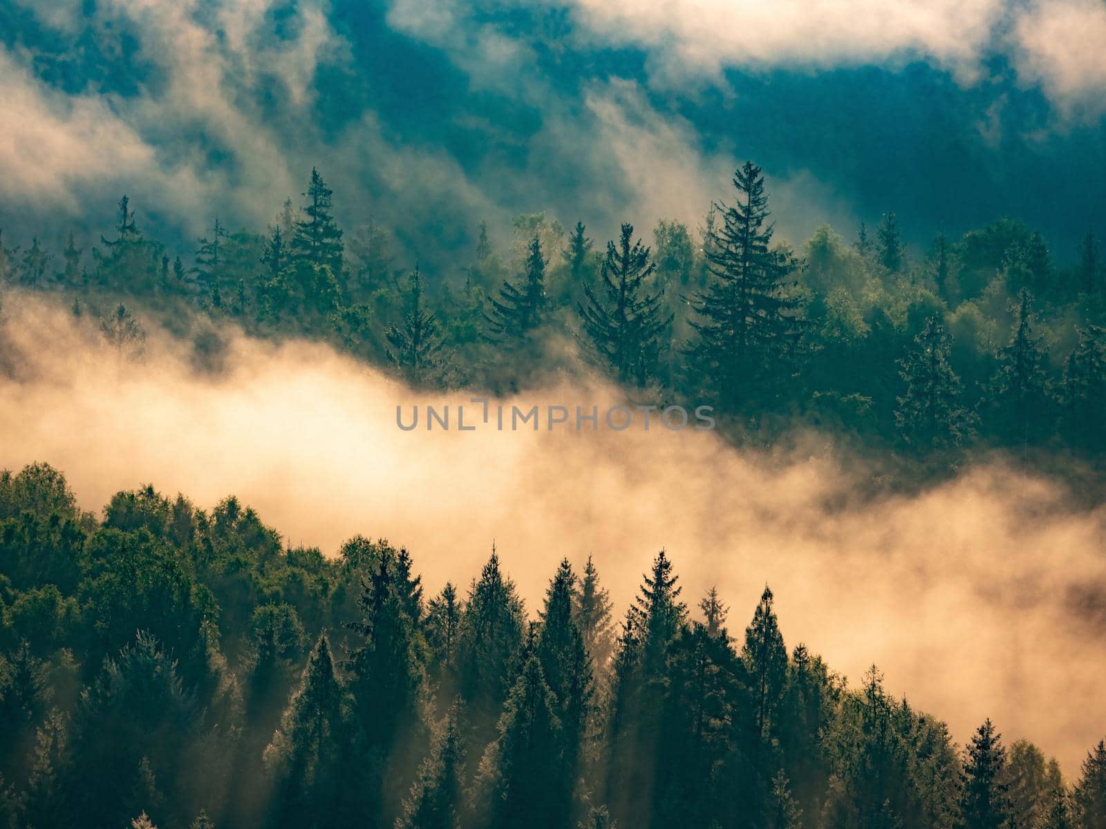 Aerial view over misty forest with haze at sunrise and hills. Sunrise over horizon.