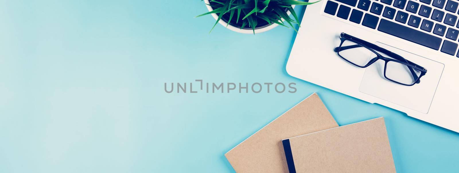 Flat lay of Laptop computer and plant on desk in office, workplace and notebook and glasses and potted tree and book, workspace and copy space, top view, object with above, nobody, business concept. by nnudoo