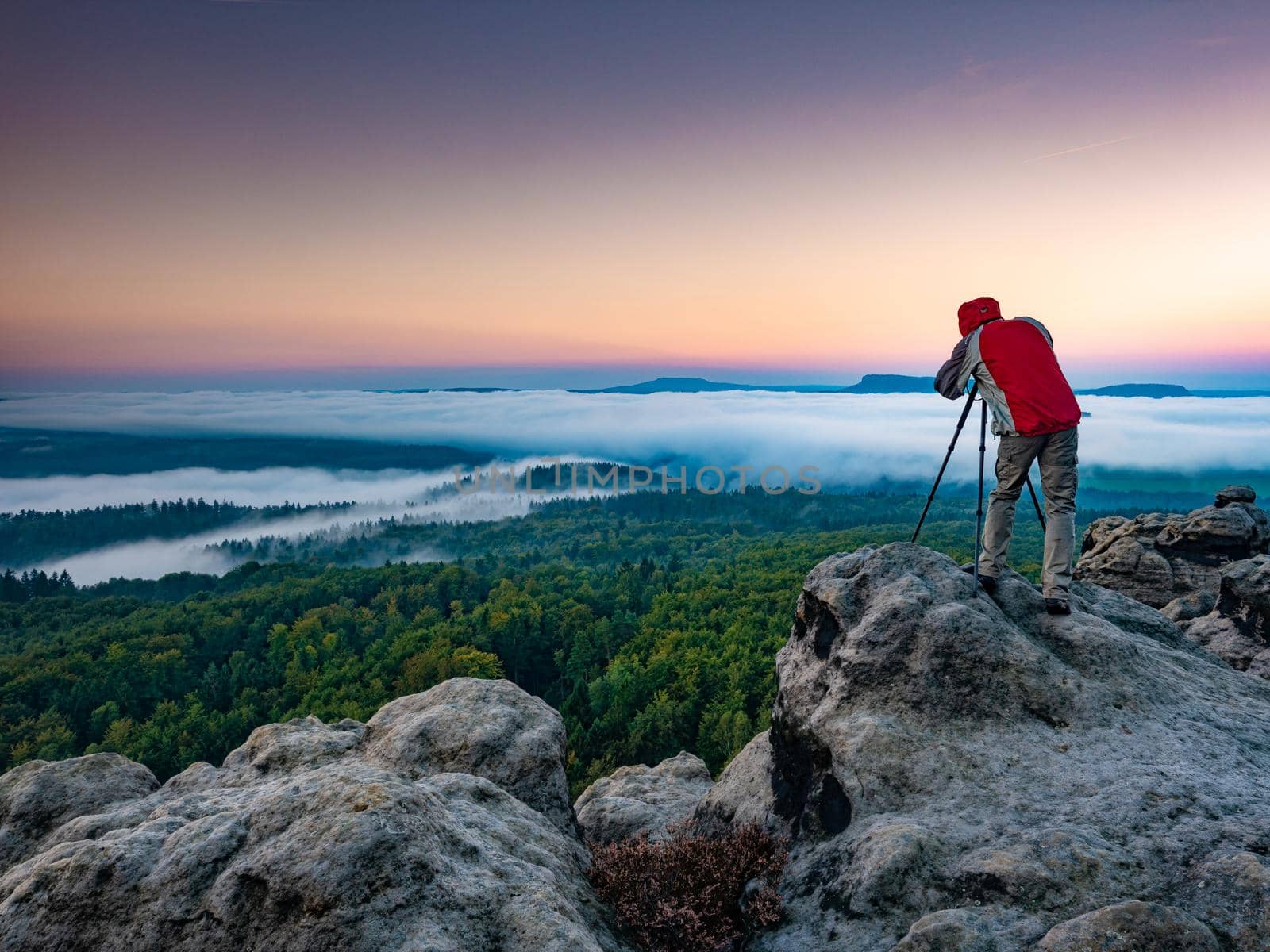 Man with hands od camera in his tripod ballhead framing new picture. A young man takes pictures of mist in trees