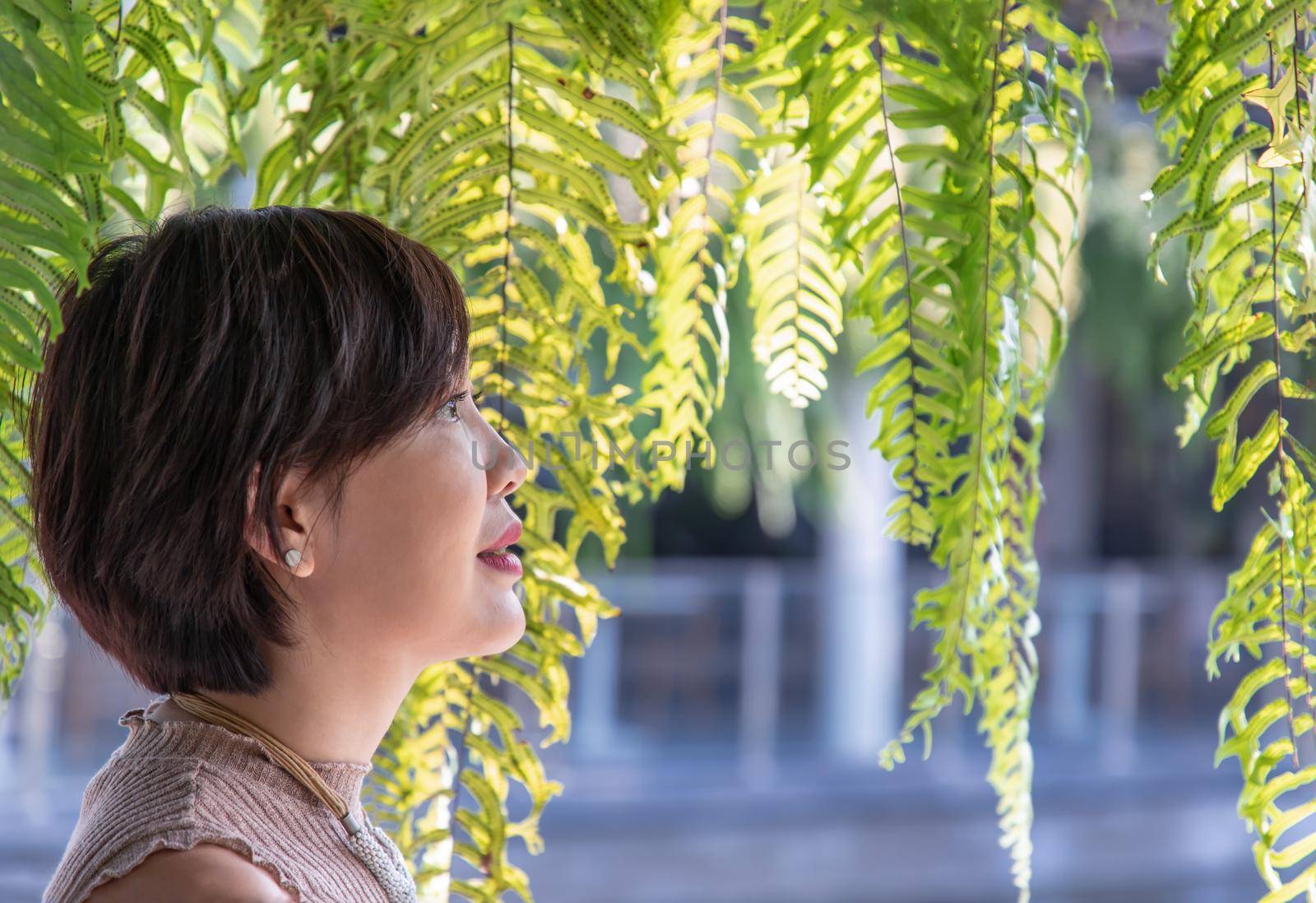 Portrait of a young Asian woman enjoy and relax on green ferns leaves background. Side view,  by tosirikul