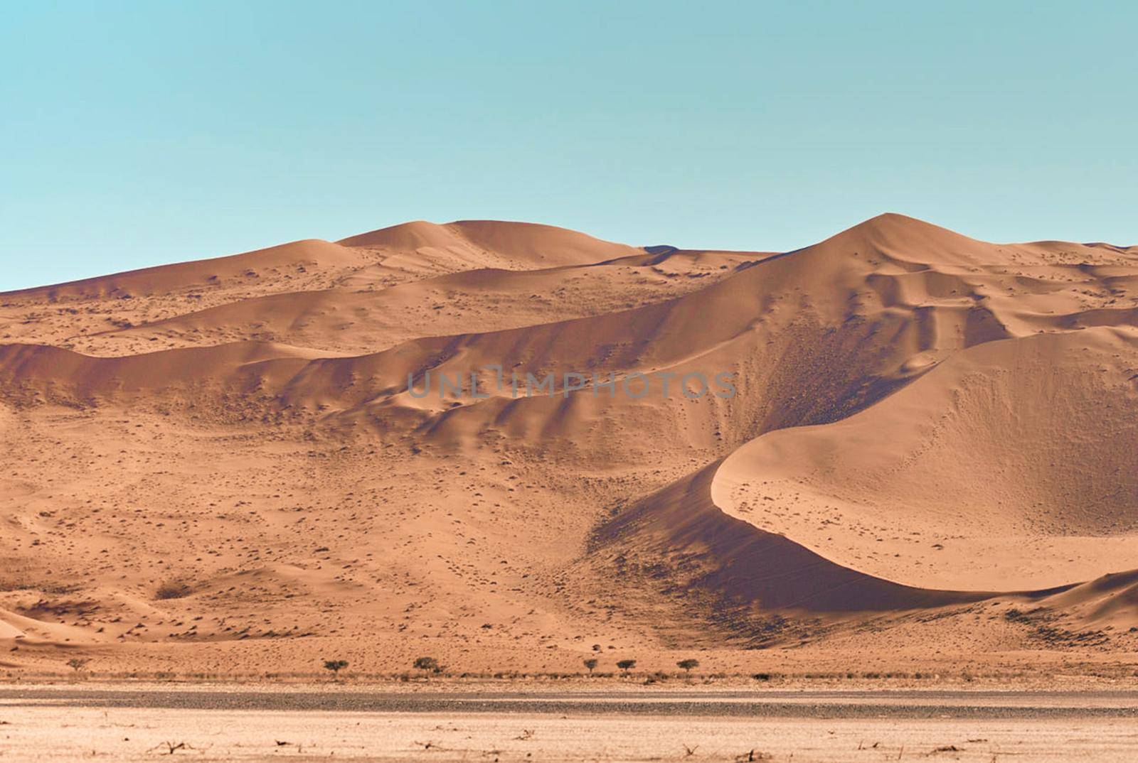 Beautiful pictures of Namib Desert by TravelSync27