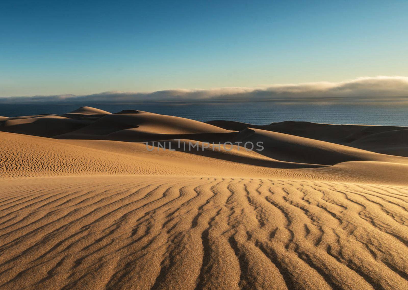 Beautiful pictures of Namib Desert by TravelSync27