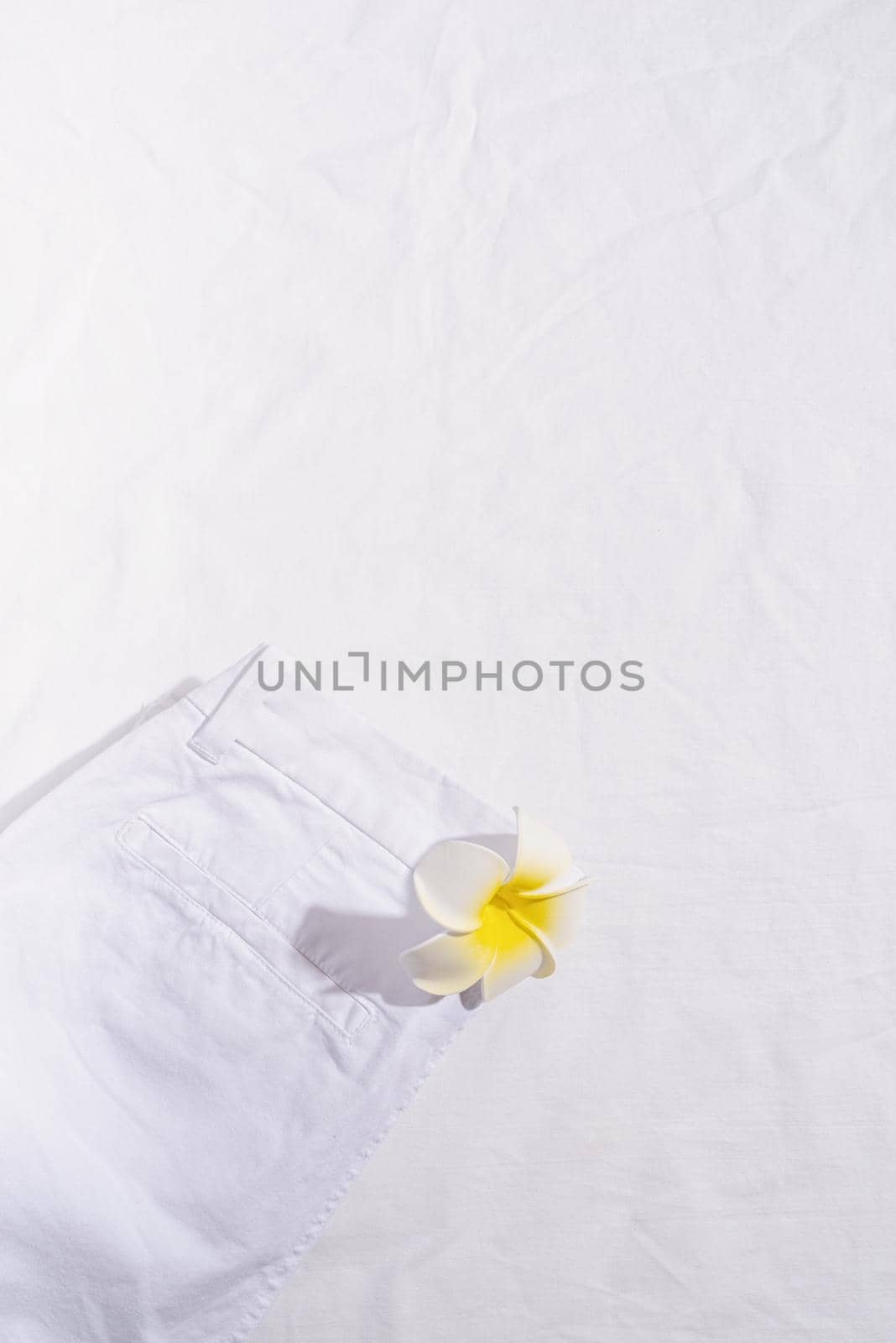 Summer and vacation concept. White summer jeans with plumeria flower on white background. Mock up design