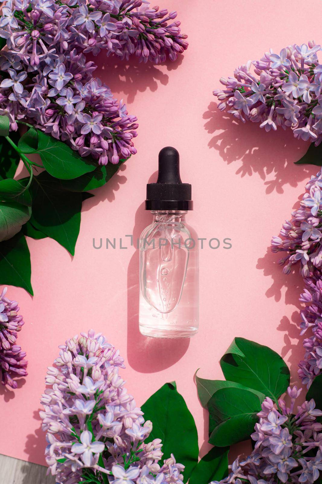 A bottle of perfume and lilac on a pink background . Women's perfume. Spring fragrance. Aromatherapy. Nice smell. Beauty and fashion. Article about the choice of fragrance. An article about current flavors . copy space. A branch of lilac. Nature