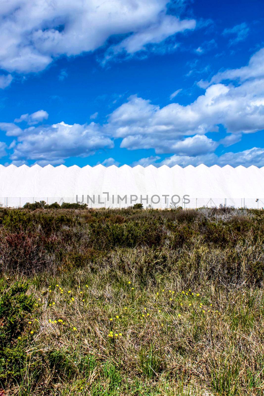 Salinas and vegetation under blue sky in Santa Pola, Alicante, Spain