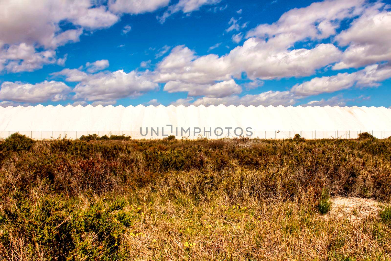 Salinas and vegetation under blue sky in Santa Pola, Alicante, Spain