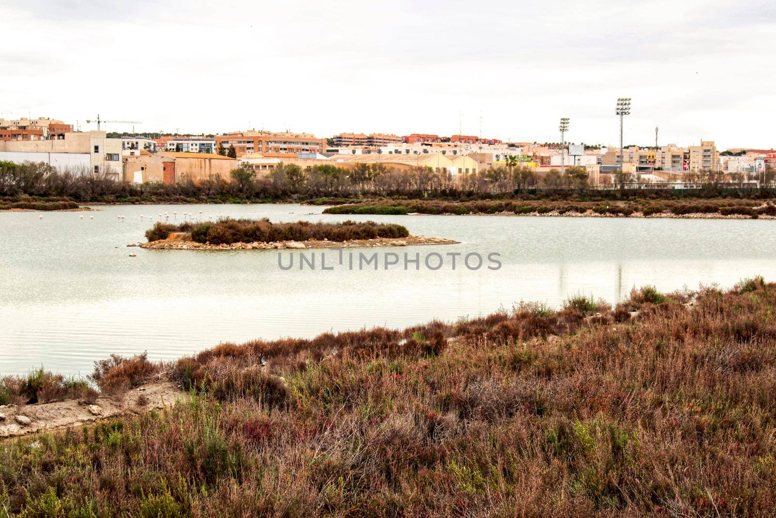 Wetlands of Santa Pola on a cloudy day of winter. Santa Pola in the background