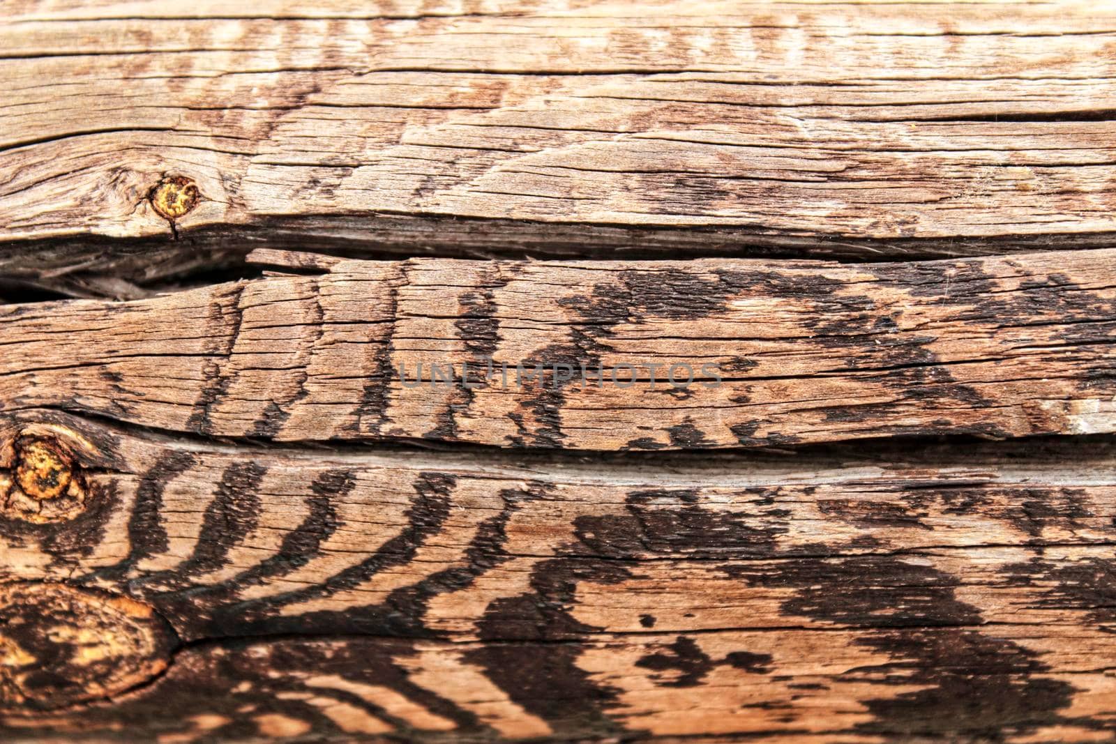Brown wooden and veined texture under the sun
